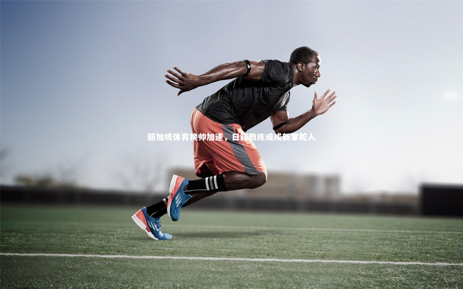 新加坡体育换帅加速，日籍教练或成新掌舵人